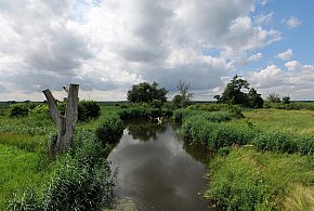 Co dalej z nowym parkiem narodowym? Minister klimatu zdradza plan po wecie-104714