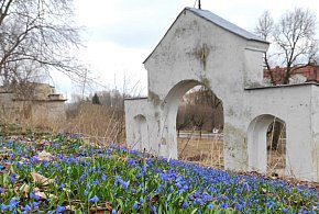 Ostróda: 3 oferty na projekt rewitalizacji zabytkowego cmentarza Polska Górka-104846