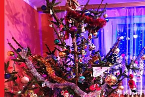 Można już kupować choinki w Leśnictwie Mielno - 105432