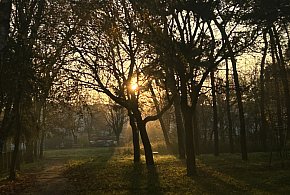 Nadchodzi najkrótszy dzień w 2025 roku. Sprawdź, kiedy przypadnie-106018