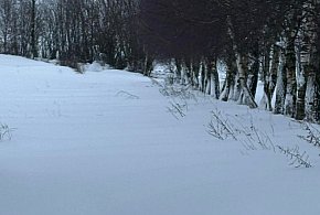 Lewałd Wielki,  gm. Dąbrówno. Kolejni odcięci od świata? Mieszkanka prosi o pomoc!-106348