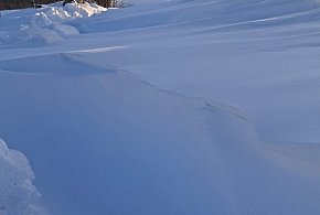 Wądzyn: Prośba o pomoc dla odciętego od świata domostwa w gm. Dąbrówno-106405