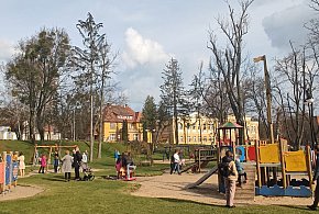 Ostróda szuka wykonawcy do utrzymania zieleni - parki, cmentarze i place zabaw