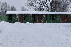 Czy Miejskie Schronisko będzie przyjmować zwierzęta z terenu gminy wiejskiej Ostró