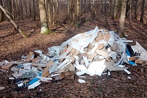Wyrzucił w lesie odpady remontowe! Las to nie śmietnik!