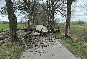 Pracowite święta strażaków w powiecie ostródzkim – 41 interwencji w dwa dni