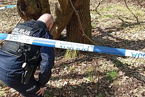 Niewybuch znaleziony w okolicy Miłakowa