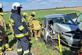 Samochody uderzyły w drzewo w gm. Grunwald i Morąg, sporo kontroli - podsumowanie