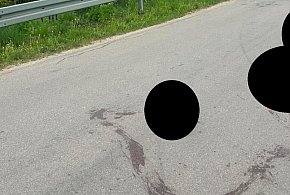 Durąg: Rozjechał ciężarną kotkę i zostawił ją na środku drogi