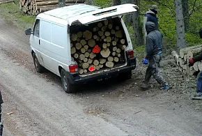 Kradzież drewna w kominiarkach pod Ostródą