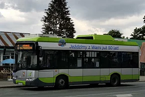 Ostródzka komunikacja miejska w liczbach. Autobusy przejechały niemal pół mln km.