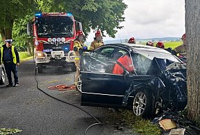 Pow. nidzicki: 21-latek uderzył volkswagenem w drzewo - trafił do szpitala