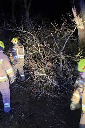 Silny wiatr w powiecie ostródzkim. Strażacy interweniowali 24 razy-12796
