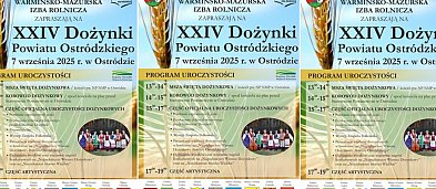 XXIV Dożynki Powiatu Ostródzkiego-149185