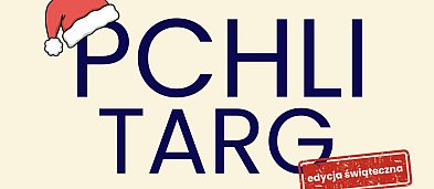 Pchli targ w Ostródzie-846