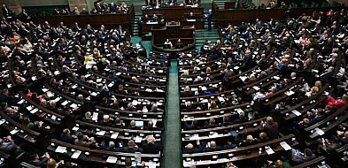 Hodowle zwierząt na futra będą zakazane! Sejm za zakazem hodowli zwierząt na futra-103853