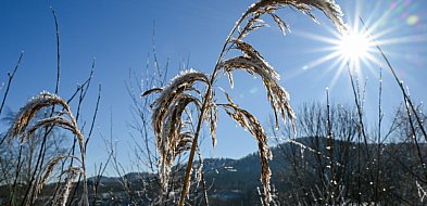 W niedzielę zaczyna się astronomiczna zima-106054