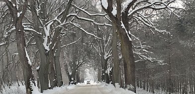 Warmia i Mazury: Dwie szkoły nieczynne, problemy na lokalnych drogach-106519