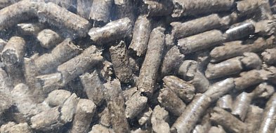 Raport: ogrzewanie domu - najdroższe kotłem pelletowym