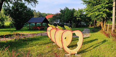 Stare Jabłonki: Stowarzyszenie Wieś Jabłkowych Smaków z dofinansowaniem