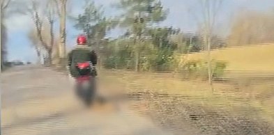 Pow. Mrągowski: Ciągnął psa za motorowerem! Zwierzę nie przeżyło!