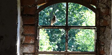 Niedziela Palmowa otwiera w Kościele Wielki Tydzień, który wieńczy Triduum Paschal