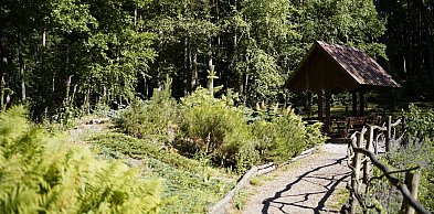 Leśne arboretum w Kudypach ponownie otwarte dla zwiedzających