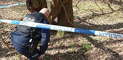 Niewybuch znaleziony w okolicy Miłakowa