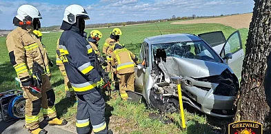 Samochody uderzyły w drzewo w gm. Grunwald i Morąg, sporo kontroli - podsumowanie