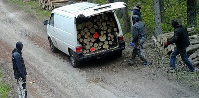 Kradzież drewna w kominiarkach pod Ostródą.
