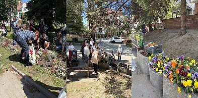 Ostróda: Miasto rozdawało kwiaty z rabat mieszkańcom, chętnych nie zabrakło