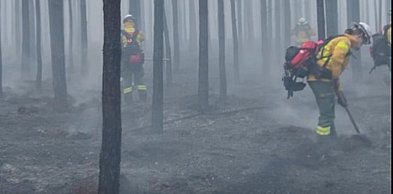 Olsztyn: Strażacy z Warmii i Mazur ruszyli do walki z pożarem lasów na Mazowszu