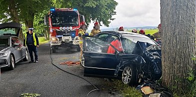 Pow. nidzicki: 21-latek uderzył volkswagenem w drzewo - trafił do szpitala