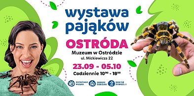 Ostróda: Zobacz groźne pająki i weź ptasznika na ręce!-102979