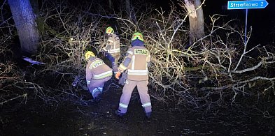 Silny wiatr w powiecie ostródzkim. Strażacy interweniowali 24 razy-104312