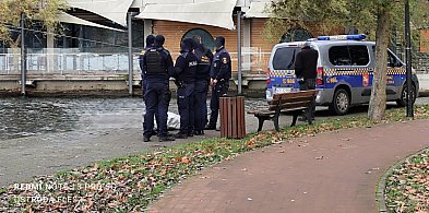 Ostróda: Z Jeziora Drwęckiego koło Lalo wyłowiono ciało mężczyzny [FOTO]-104900