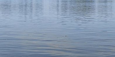 Ostróda: Na widok policjantów wskoczył do jeziora! Był poszukiwany-105981