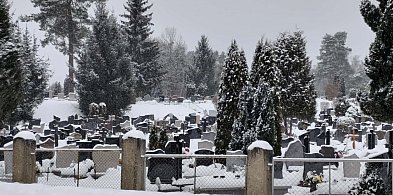 Aż 16 osób odeszło od nas na zawsze w minionym tygodniu [5 - 11 styczeń]-106498