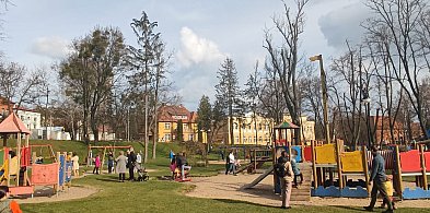 Ostróda szuka wykonawcy do utrzymania zieleni - parki, cmentarze i place zabaw