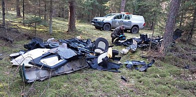 Ponad 2,5 mln zł kosztowało w zeszłym roku usuwanie śmieci z lasów regionu!