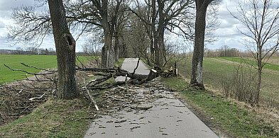 Pracowite święta strażaków w powiecie ostródzkim – 41 interwencji w dwa dni