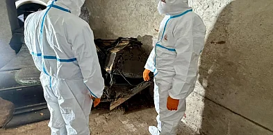 W krypcie kanoników w katedrze we Fromborku odnaleziono jedwabne ornaty i poduszki