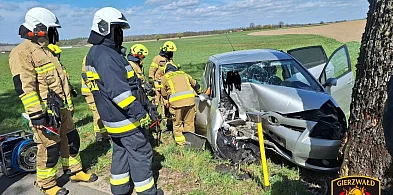 Samochody uderzyły w drzewo w gm. Grunwald i Morąg, sporo kontroli - podsumowanie