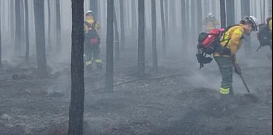Olsztyn: Strażacy z Warmii i Mazur ruszyli do walki z pożarem lasów na Mazowszu