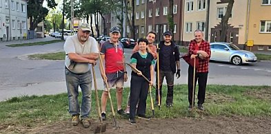 Ostróda: Zielona zmiana w centrum - mieszkańcy wspólnie upiększają osiedle