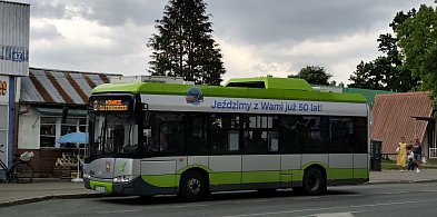 Ostródzka komunikacja miejska w liczbach. Autobusy przejechały niemal pół mln km.