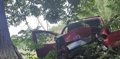 Gm. Miłomłyn. Nietrzeźwy 20-latek uderzył w drzewo! 4 młode osoby ranne