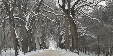 Dwie szkoły nieczynne, problemy na lokalnych drogach-106519