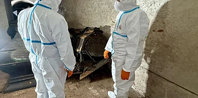 W krypcie kanoników w katedrze we Fromborku odnaleziono