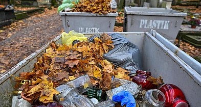 Branża recyklingu: po 1 listopada na wysypiska trafia ok. 120 tys. ton odpadów cme-104364